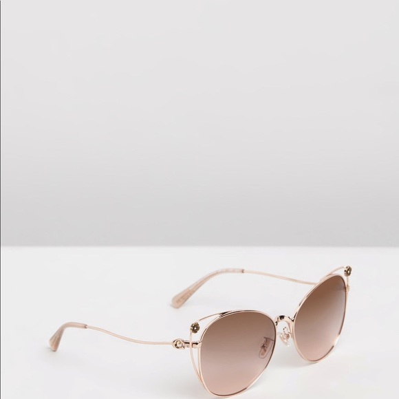 NWT Coach Sunglasses w/case MSRP $185 - Picture 3 of 3